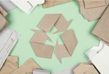 مراحل مختلف بازیافت کارتن