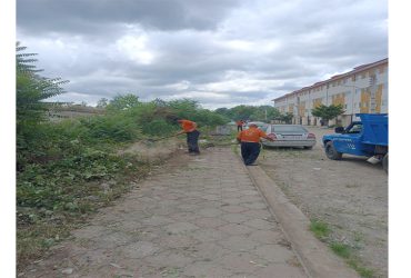 اجرای طرح نظافت گروهی در مسکن مهر سیاهکل