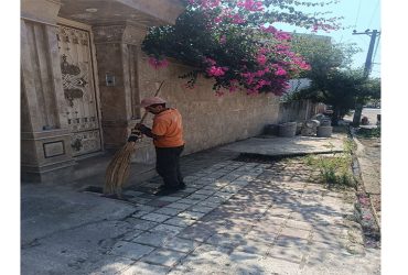 پاکسازی علف‌های هرز و نظافت گروهی شهرک فجر