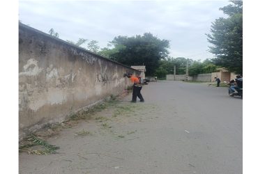 اجرای عملیات علف‌زنی و نظافت خیابان ستایش توسط شهرداری سیاهکل