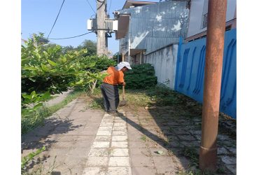 اجرای عملیات نظافت، علف‌تراشی و خاکروبی معابر خیابان منظریه توسط نیروهای خدمات شهری شهرداری سیاهکل