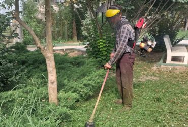 هرس و علف تراشی محیط فضای سبز پارک بانوان