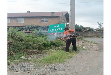اجرای عملیات علف‌تراشی در کوی اکبری