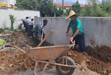 کاشت درختان سروناز و بامبو در محوطه پشت آمفی‌تئاتر روباز استخر پاشوران